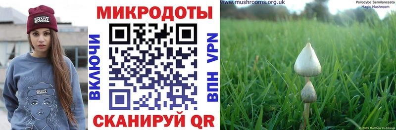 hydra ссылки  Пушкино  Псилоцибиновые грибы Magic Shrooms  купить наркотики цена 